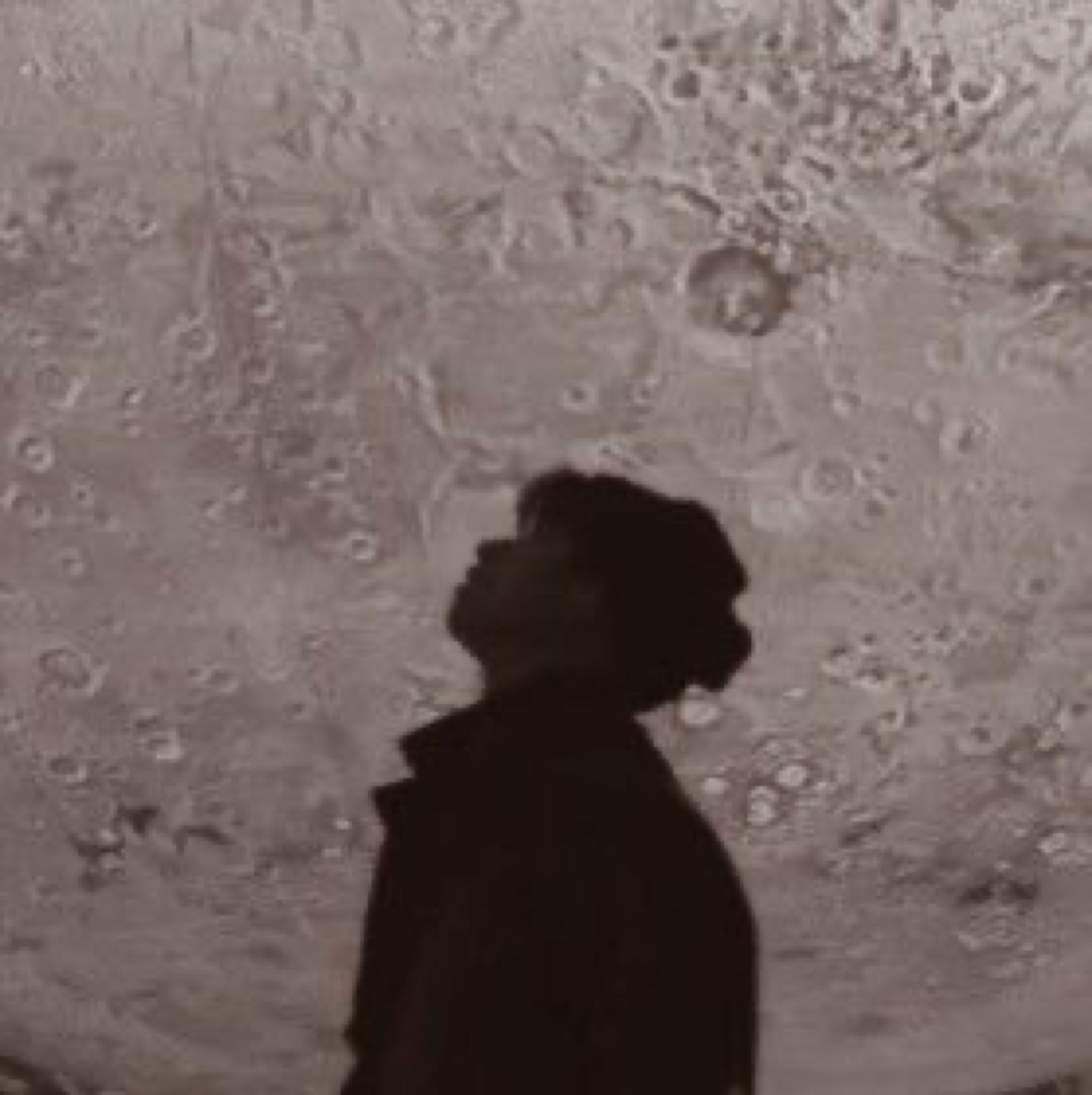 Moon Figure
